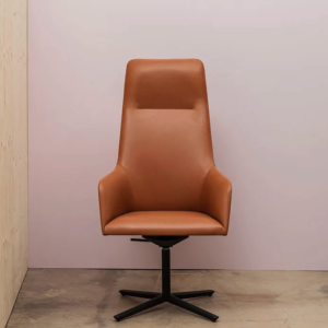 Alya Executive SO1479