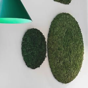13_Biofilia