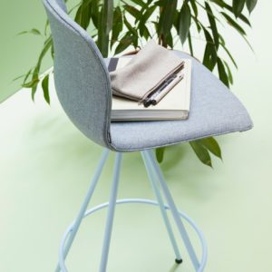 Kabi Stool