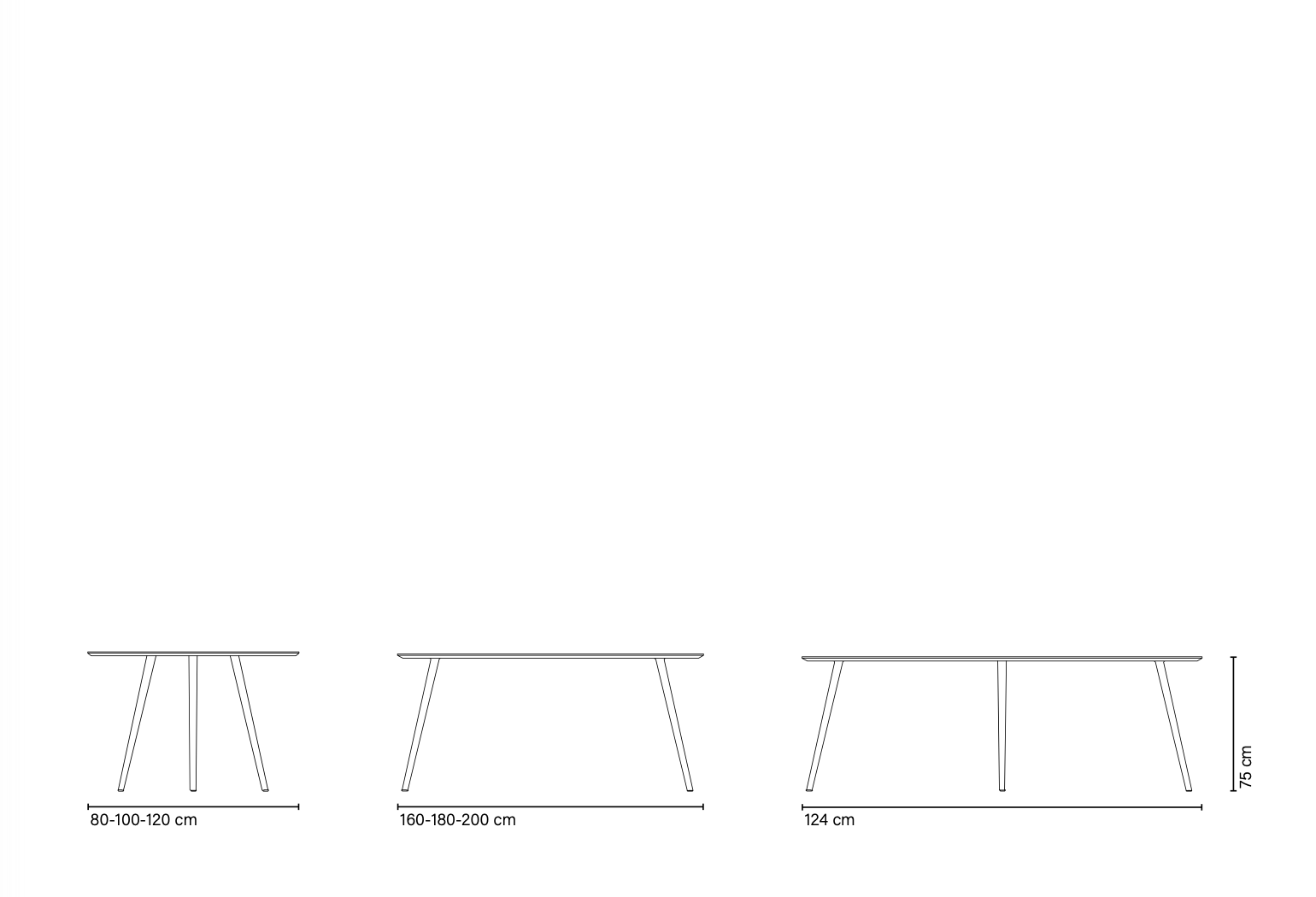 GAZELLE collection - Imagen 2