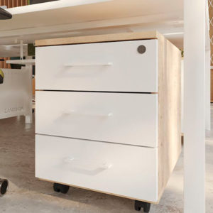 Armarios y sistemas de archivos