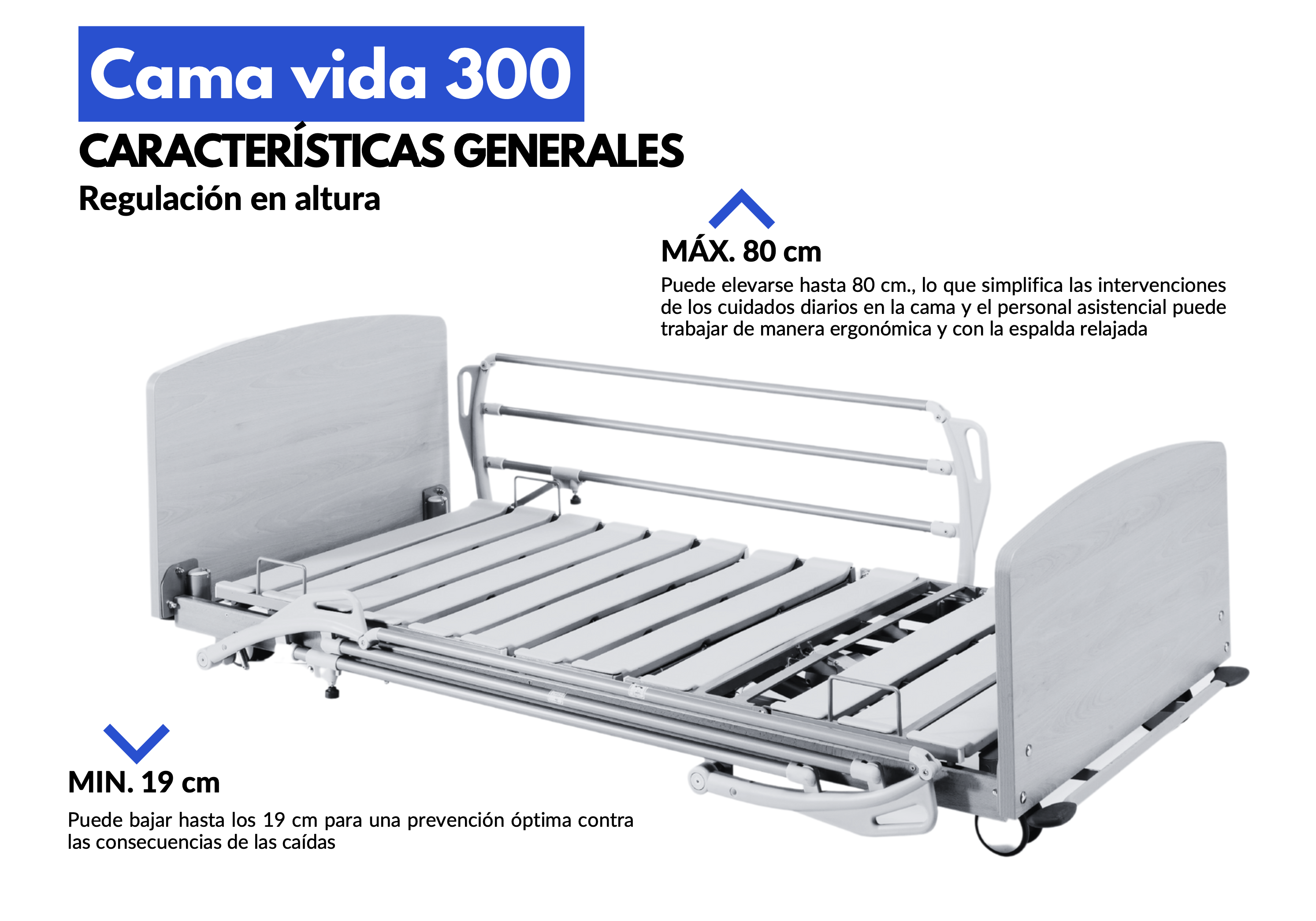 CAMA VIDA 300